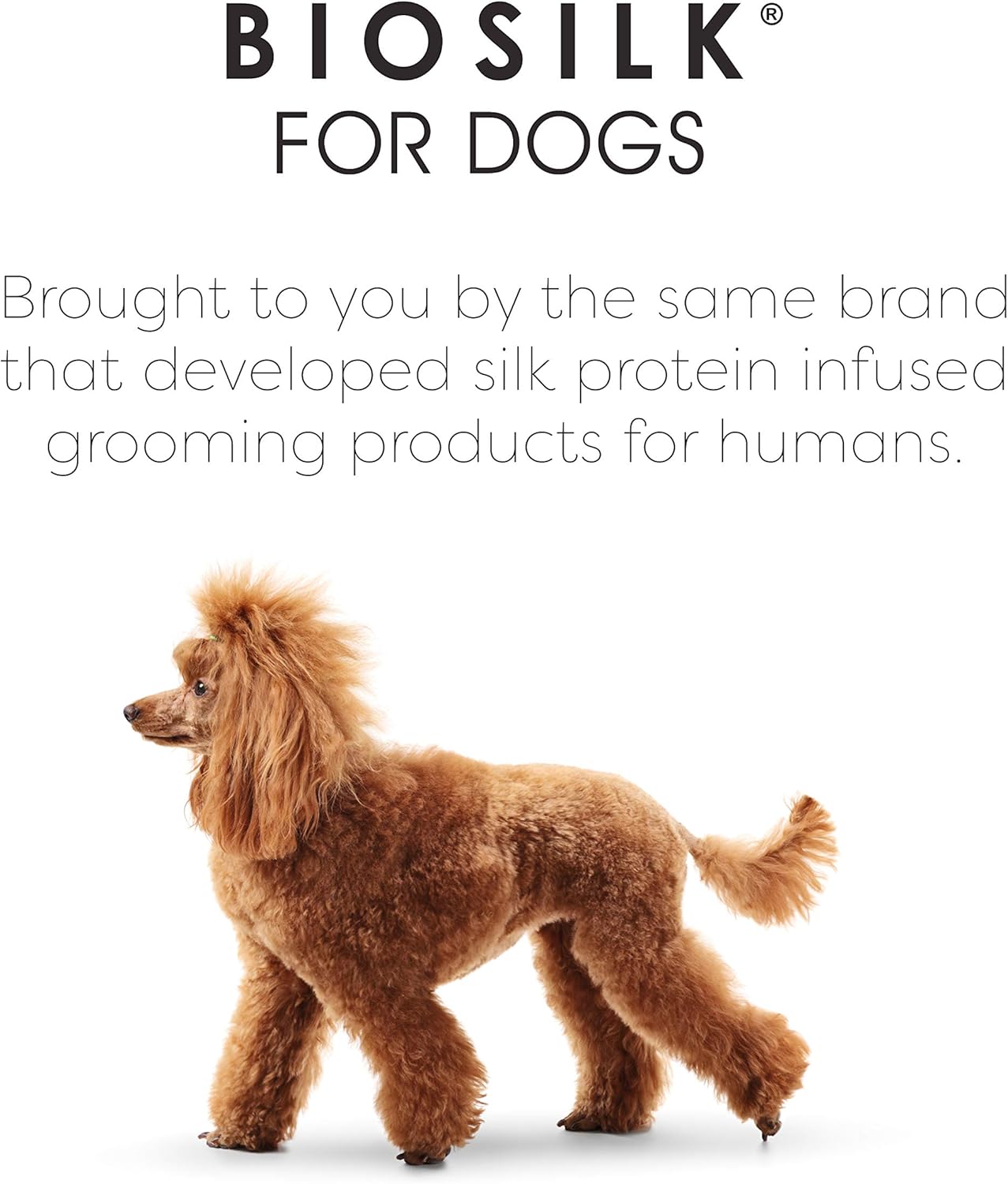 BioSilk for Pets Eco-Friendly Detangling Pin Brush for Dogs in Mint Green | Easy to Hold Ergonomic Handle Dog Brushes, Wet or Dry Dog Hair Brush, Light Blue (FF12806),Gray/Black