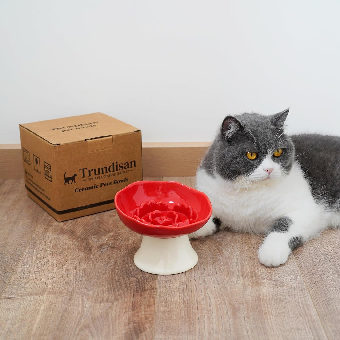 Ceramic Slow Feeder Bowl for Cats and Small Dogs, Elevated Tilted Pet Food Dish, Whisker Friendly Anti-Vomit Design, Heavy Stable Base, Dishwasher Safe, 5 Colors Options (Ruby Red)