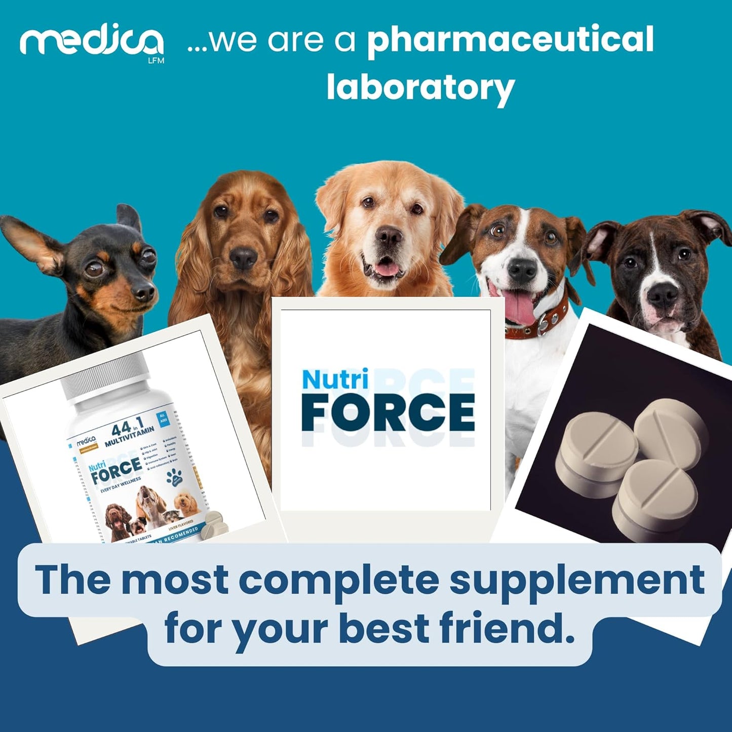 NutriForce 44-in-1 Multivitamin for Dogs β Daily Supplement for Hip & Joint, Skin & Coat, Immune, Digestion, Energy & Heart β 120 Chewable Tablets β Liver Flavor β All Breeds & Ages β Vet Recommended