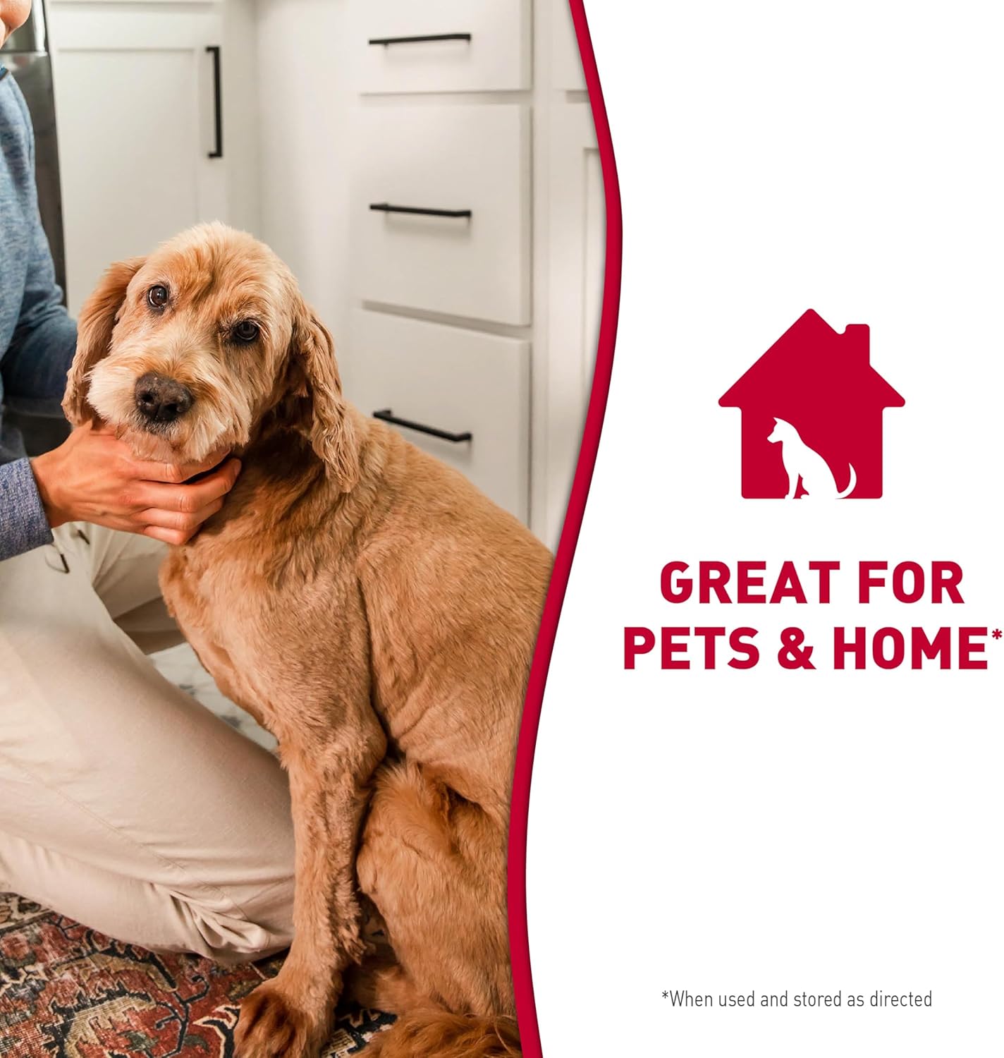 Nature's Miracle Stain & Odor Remover Foaming Aerosol For Dogs, 17.5 Oz (P-68340) (Pack of 2)