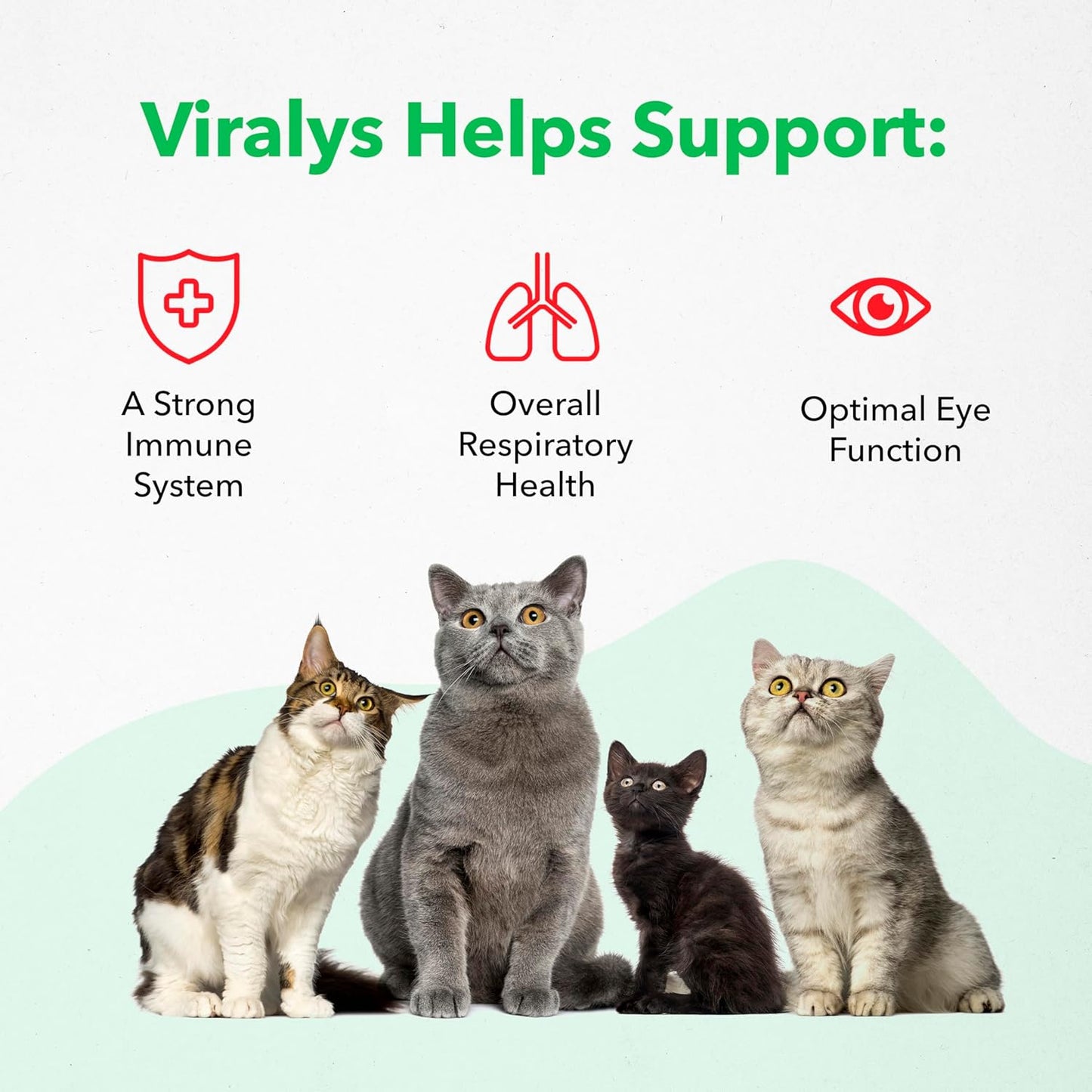 Vetoquinol Viralys Daily L-Lysine Gel for Cats and Kittens, Maple Flavored Lysine Supplement for Cats and Kittens to Support Immune Health, Normal Eye Function and Respiratory Health, 5oz