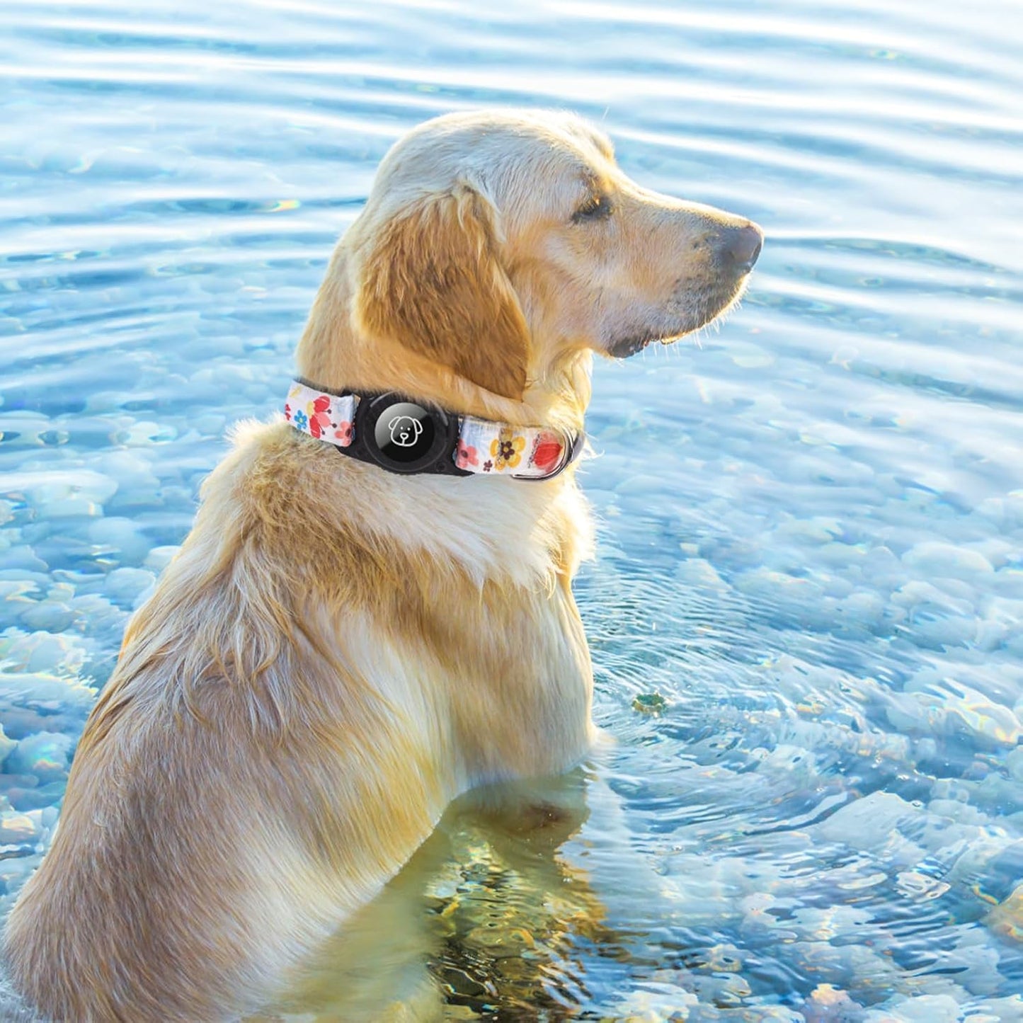 BINGPET AirTag Dog Collar,IP68 Waterproof Airtag Holder,Ultra-Durable Cute Flower Dog Collar with Padded for Tracker,Adjustable Heavy Duty Dog Collar for Small Medium Large Dogs(M(15"-19"),White)