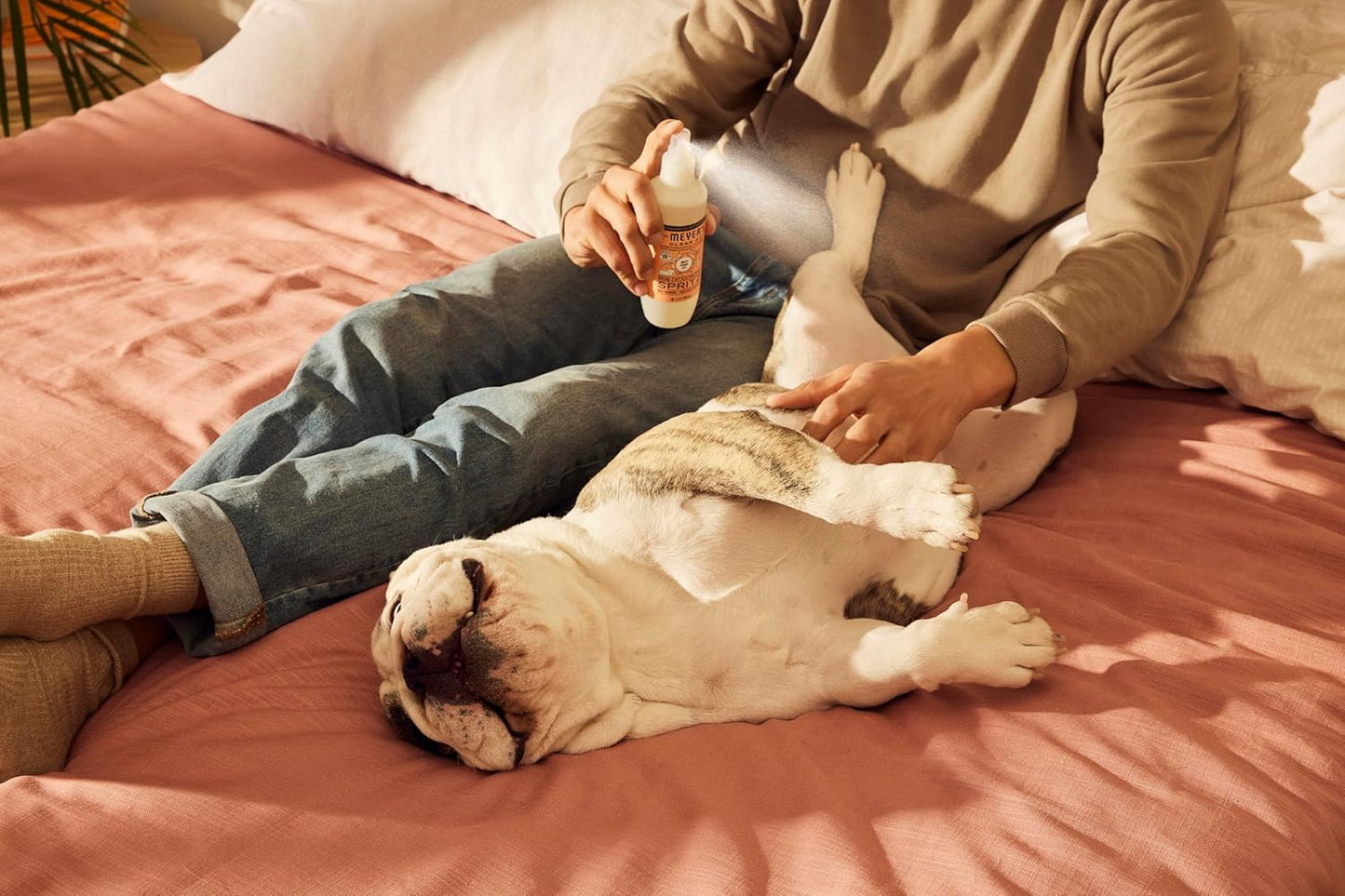 MRS. MEYER'S Clean Day Dog Deodorizing Spray, Sweet Chamomile Scent, 8oz