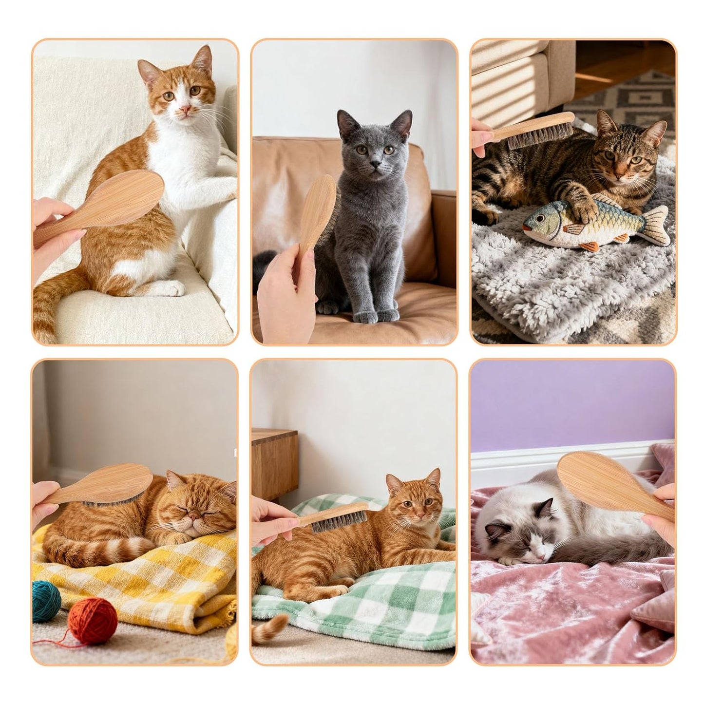 Soft Bristle Dog Cat Brush for Shedding, Boar Bristle Pet Grooming Brush with Wood Handle Gentle Massage Tool for Short Long Haired Dogs Cats Kittens Grooming Supplies