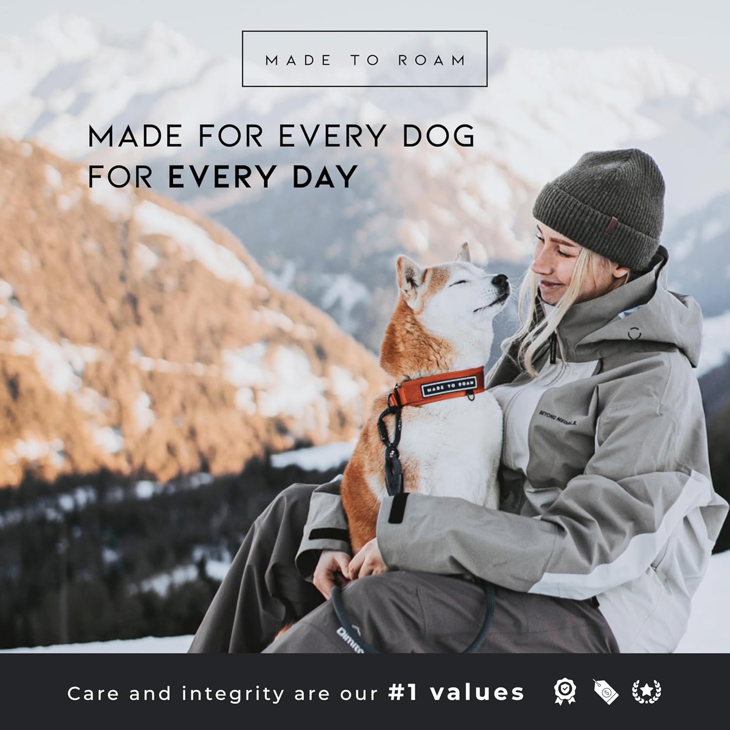 MADE TO ROAM Premium Everyday Dog Collar - Martingale Style No Pull Vegan Leather Collar, Heavy Duty and Lightweight for Small, Medium, Large Dogs (Oregon Haze, Size 6)