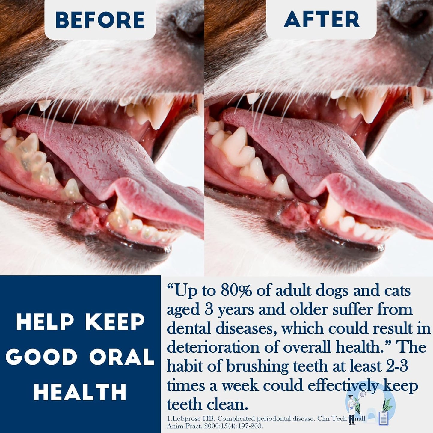 Dog Toothbrush Set of 10 - Dual Headed Tooth Brushes for Small to Large Dogs, Cat, Puppy, Kitten & Most Pet, Double Sided Teeth Cleaning Bulk Kit with Soft Bristles Long Handle, 10 Colors