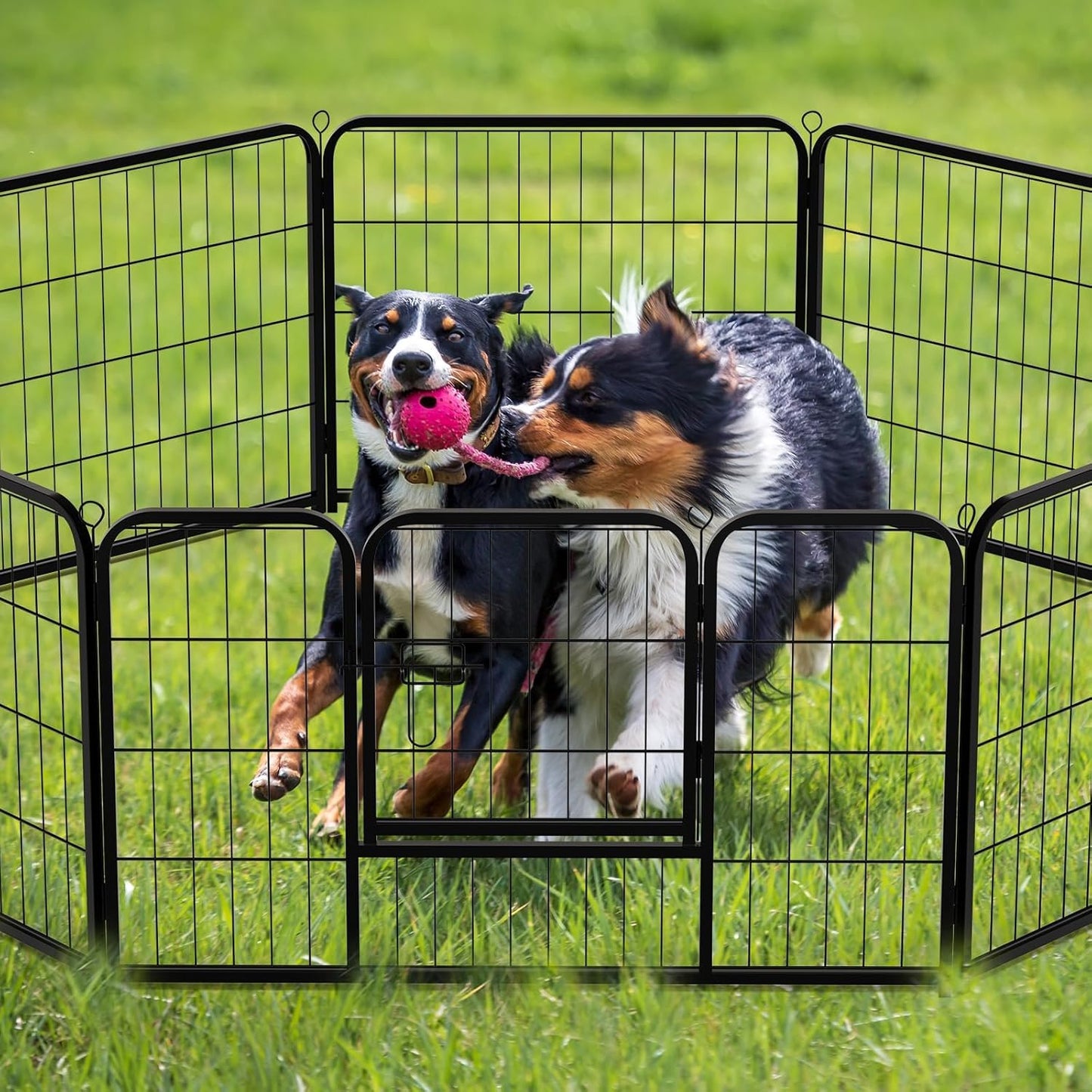 NEWBULIG Dog Playpen 8 Panels 24" Height Foldable Heavy Duty Metal Dog Exercise Playpen Puppy Fence for Indoor Outdoor Yard
