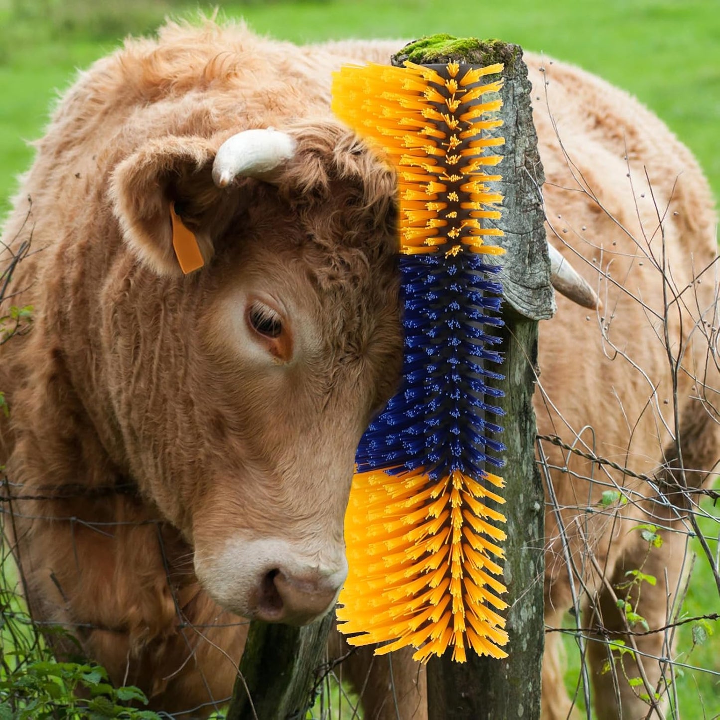 2 Pcs Livestock Scratch Brushs, Cattle Brush Relieves Itching and Cleansing Massage Brush Kit, Cattle Supplies Suitable for Cows, Horses, Sheep & Pigs with 2 Screws