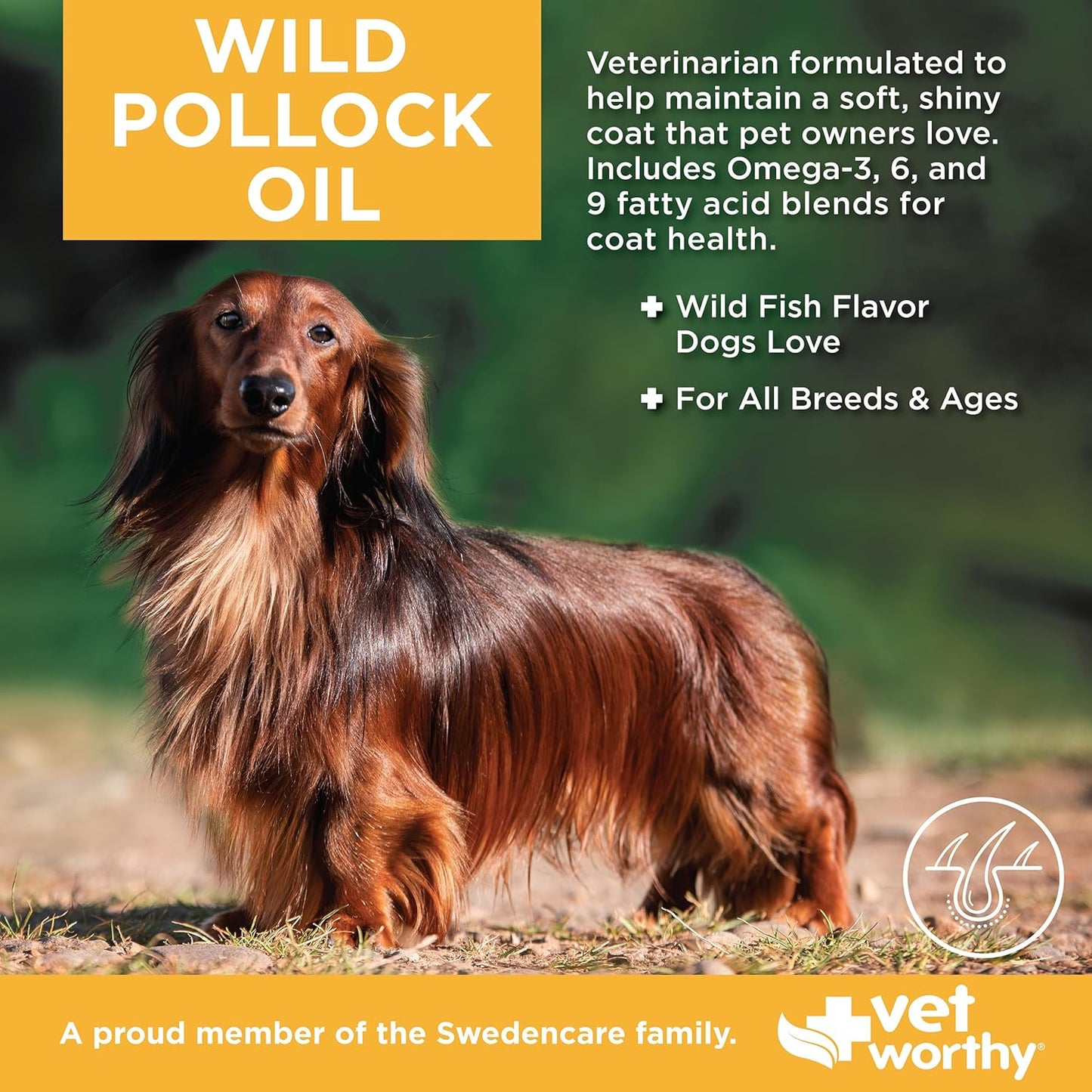 Vet Worthy Wild Pollock Oil for Dogs - All Natural Dog Supplement to Promote Skin and Coat, Heart, and Immune System Support - Liquid Fish Oil for Dogs - Easy to Use Mess-Free Bottle - 16 fl oz