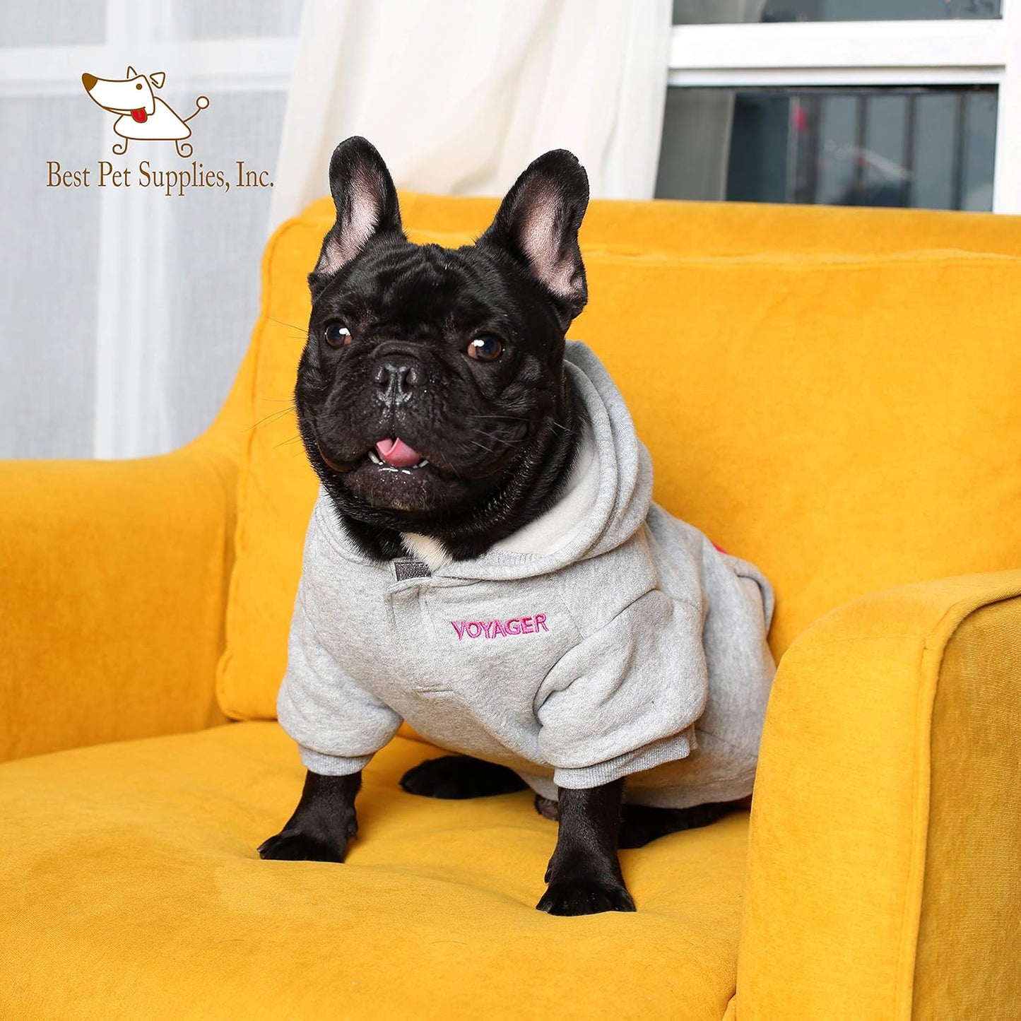 Best Pet Supplies - Voyager Dog Windproof Hoodie Pullover - Fuchsia, X-Small, 252-FU-XS