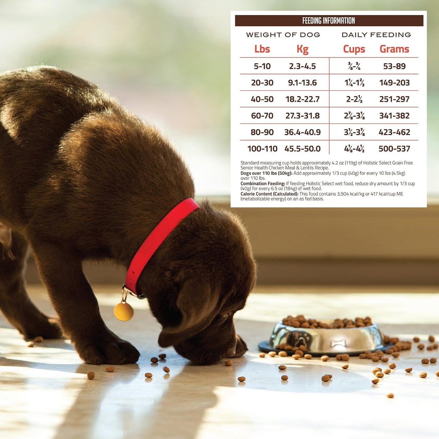 Holistic Select Natural Pet Food Holistic Select Natural Grain Free Dry Dog Food, Senior Chicken Meal & Rice Recipe, 24-Pound Bag