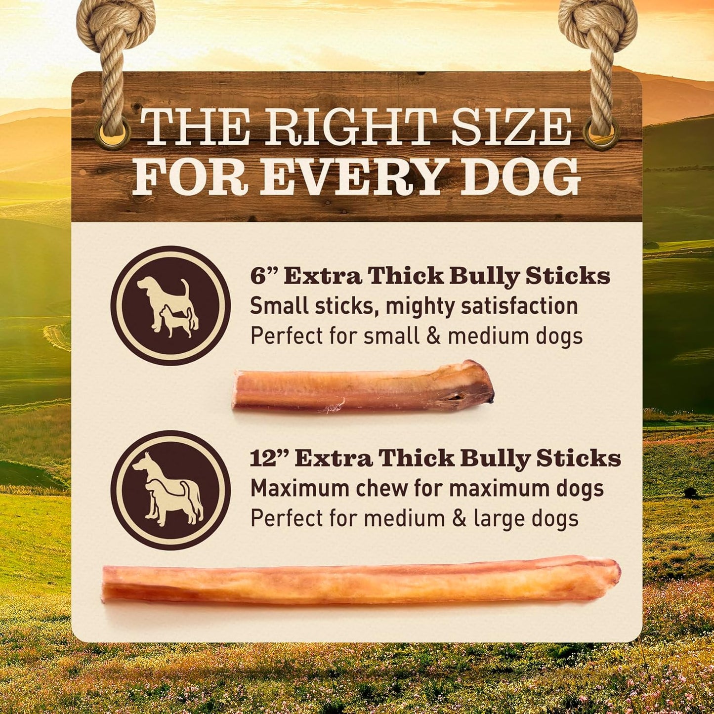 Pet Odor-Free Extra-Thick Jumbo Bully Sticks for Large Dogs (12", 5 Pack) – All-Natural, Long-Lasting Dog Chews Made from 100% Grass-Fed Beef, High-Protein & Grain-Free.