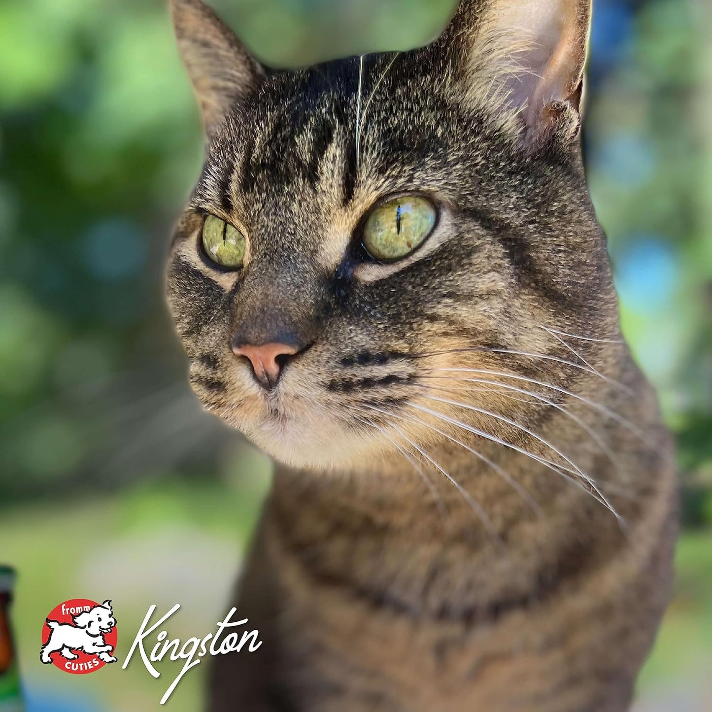 Fromm Four-Star Nutritionals Hasen Duckenpfeffer Cat Food - Premium Dry Cat Food - Rabbit Recipe - 4 lb