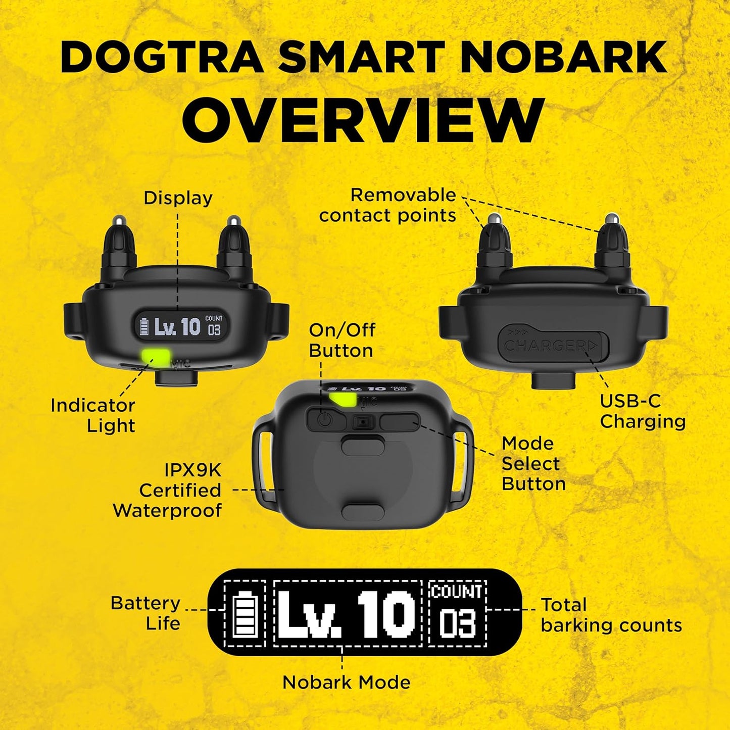Dogtra Smart NOBARK Detects Whining and Barking, 33 ft Range App for Notifications, E-Collar, Behavior Report, Waterproof IPX9K, Compact Size for 10 lb Dogs, Triple Detection Accuracy