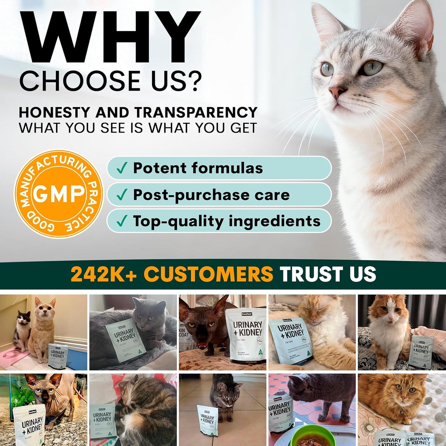 Urinary and Kidney Powder Supplement for Cats - Cranberry, Nettle Seed, D-Mannose for Cat UTI Treatment, Urinary Tract Health, and Kidney Care - Fast UTI Relief & Prevention - 60 Scoops