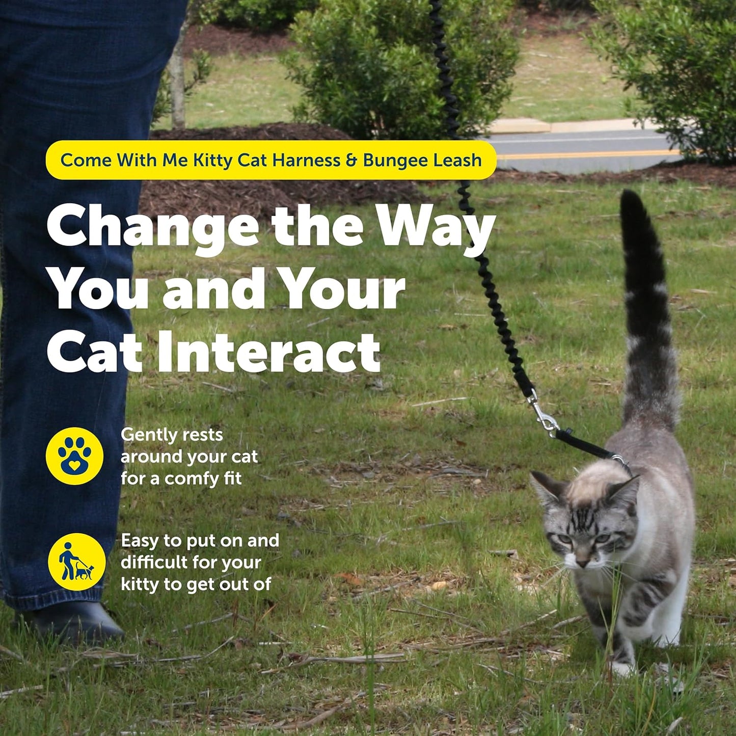 PetSafe Come with Me Kitty Harness and Bungee Leash, Large, Black