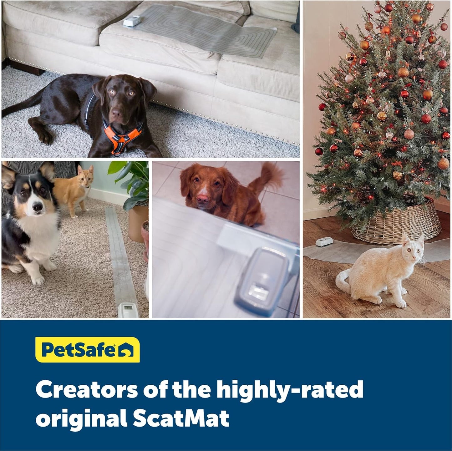 PetSafe ScatMat Indoor Training Mat