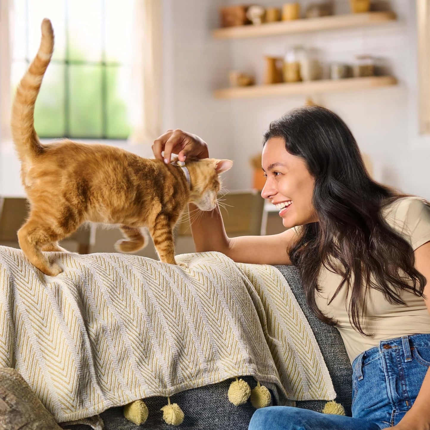 Meow Mix Original Choice Dry Cat Food, 22 Pound Bag