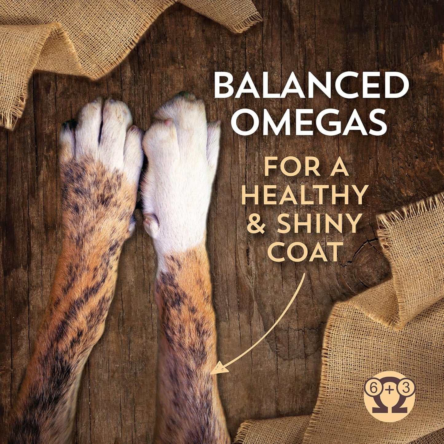 Wholesomes Sensitive Skin & Stomach with Salmon Protein Dry Dog Food 30 lb