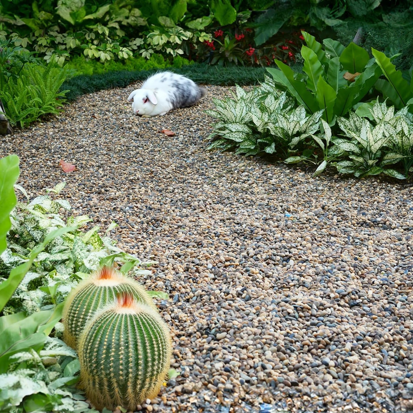 2 lbs Aquarium Gravel, 2-4mm Fish Tank Gravel, Succulent Cactus Pea Gravel for Indoor Plants, River Rocks for Gardening, Flower Pots, Vase Fillers, Garden Landscaping