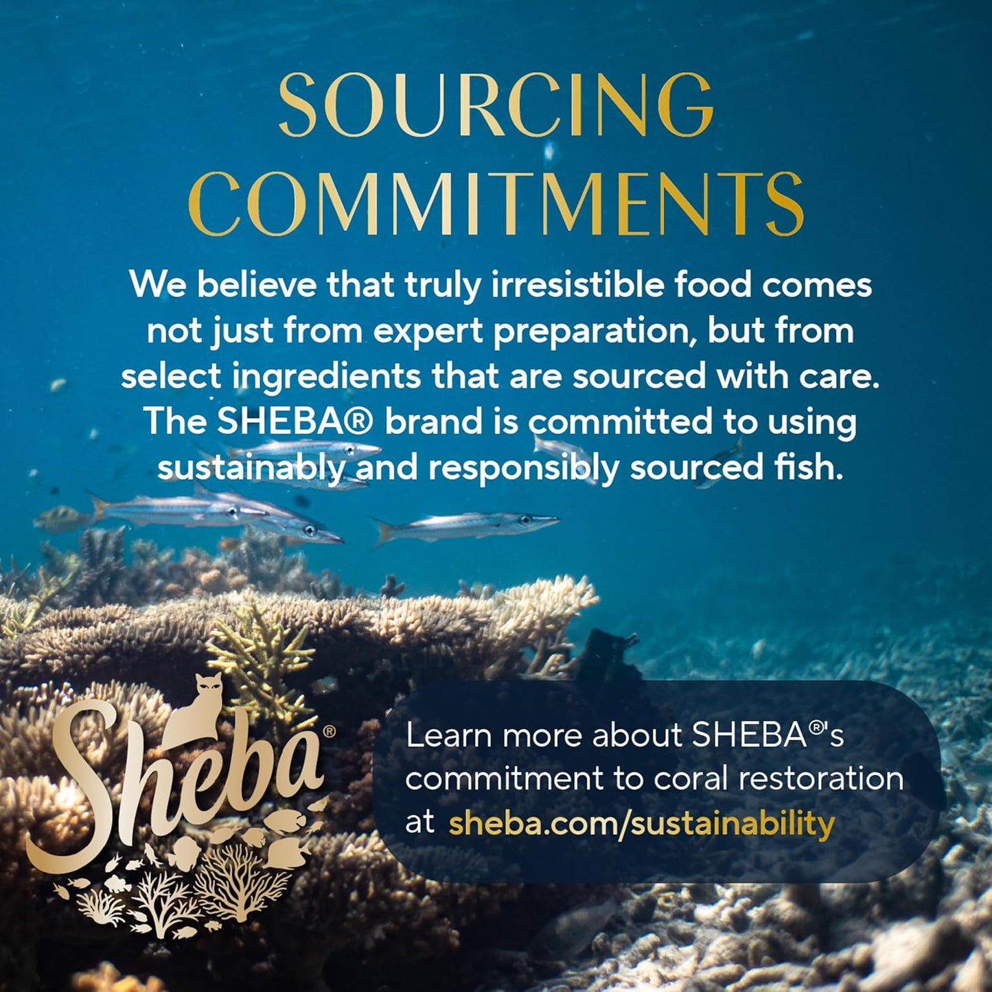 Sheba Perfect Portions Wet Cat Food Cuts in Gravy Variety Pack, Roasted Chicken Entree and Tender Turkey Entree, 2.6 oz. Twin-Pack Trays (12 Count, 24 Servings)