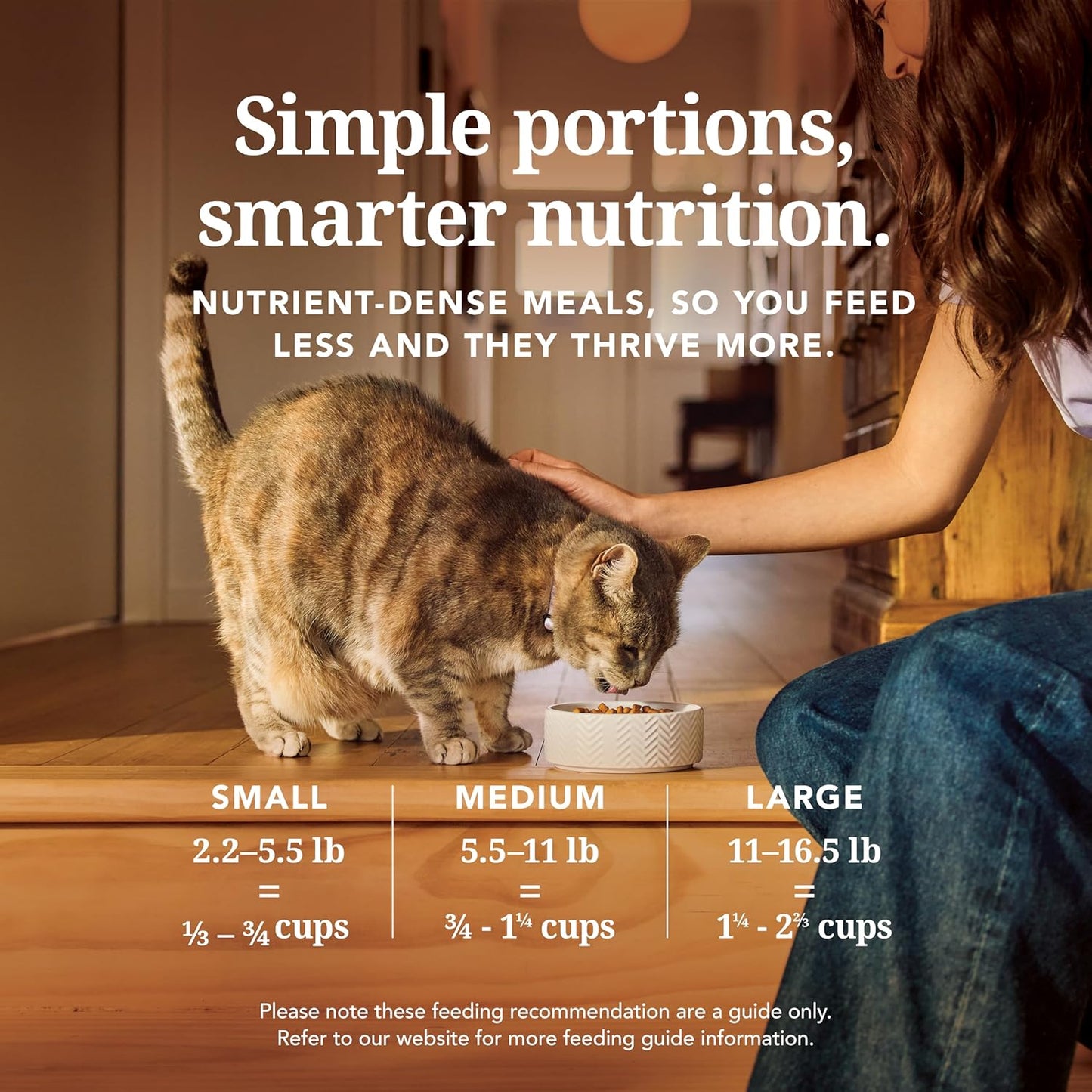 Feline Natural Freeze Dried Cat Food - Grain-Free and High Protein Cat Food from New Zealand, Complete Meal or Topper for Kittens, Adults, and Senior Cats, Chicken and King Salmon, 100g