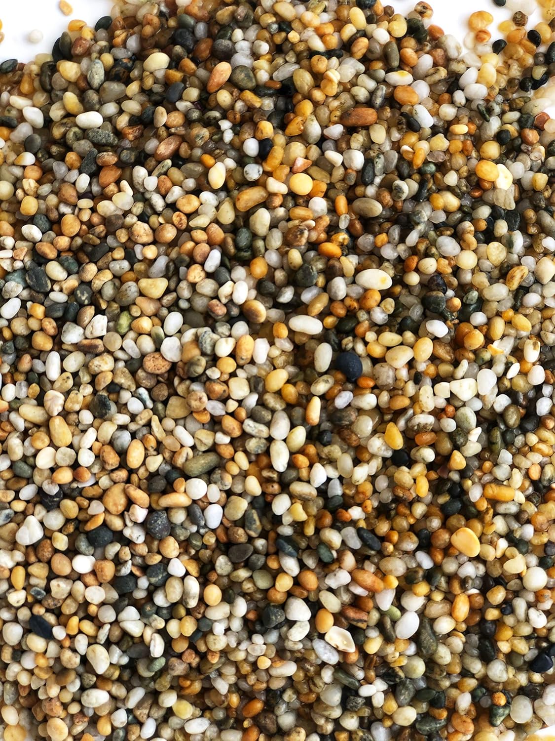 Aqua Natural Gold Pearl 10lb Gravel Substrate for Aquariums, terrariums and vivariums, 2-4mm