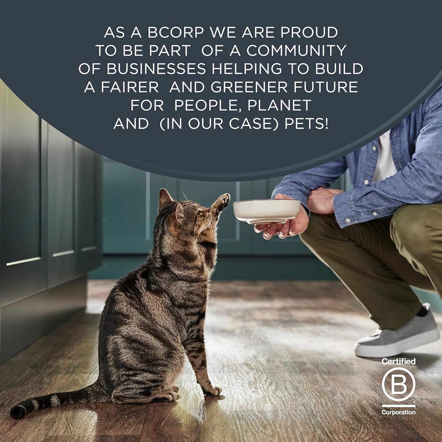 Reveal Natural Wet Canned Cat Food, Limited Ingredient, Grain Free, High Protein with No Artificial Additives, Fish and Chicken Variety in Broth, (12 x 2.47 oz Cans)