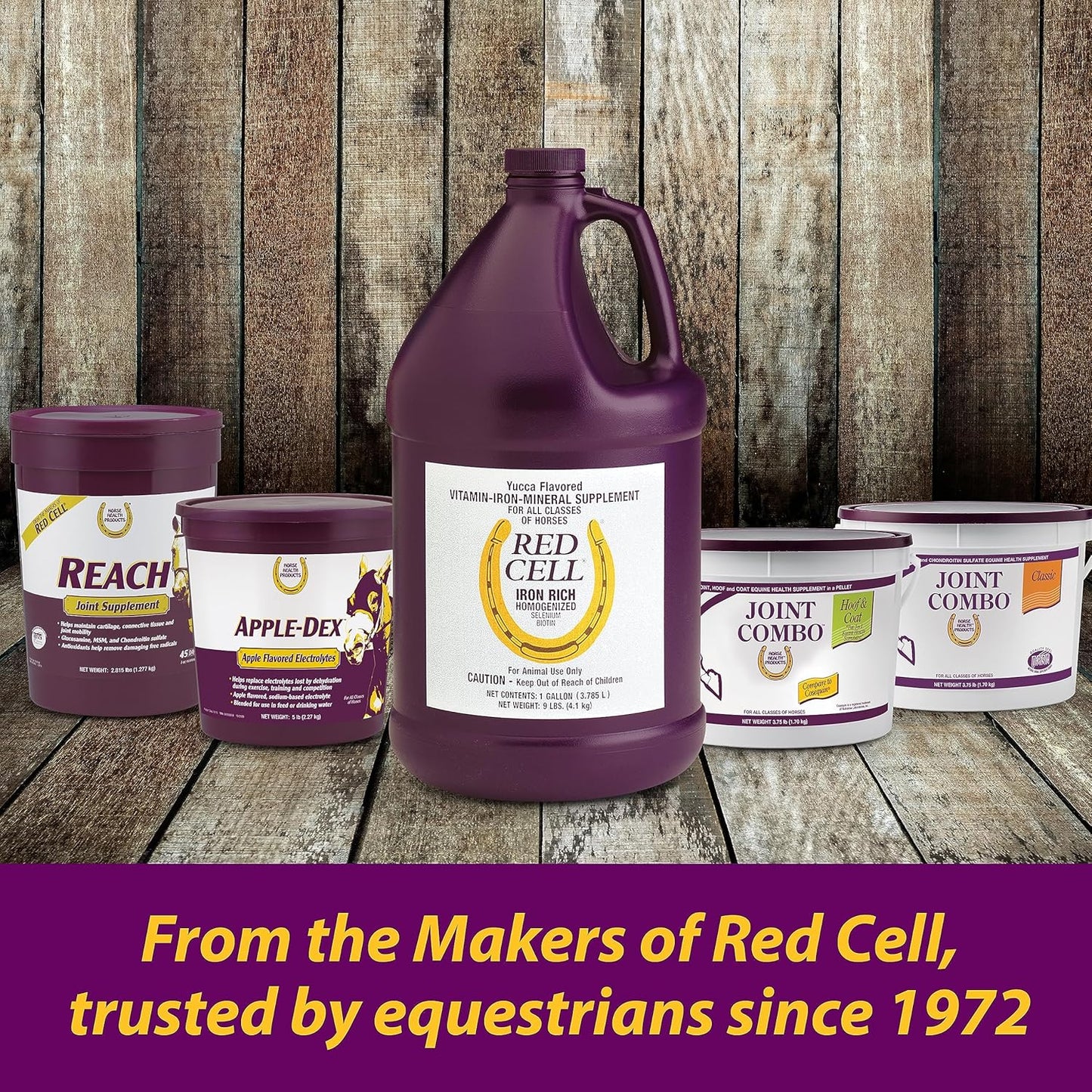 Farnam Horse Health Apple-Dex Apple Flavored Electrolytes for Horses 5 pound