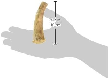 Nylabone Healthy Edibles WILD Natural Dog Chew Treats for Large Dogs, Long Lasting Dog Healthy Chew Antler Bone Made in USA, Venison Flavor, For Dogs Up to 50 lbs. (2 Count)