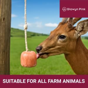 Himalayan Pink Salt Lick Pack of 3 (6lbs Each Block)- Mineral Salt Block on Rope 100% Organic Pink Salt Block for Horses Deer and Live Stock. Deer Attractant for Deer Hunting