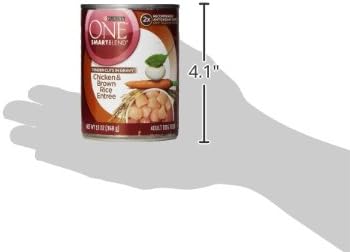 Purina ONE Natural High Protein Dog Food, Tender Cuts in Gravy Chicken and Brown Rice Entrée - 13 Ounce (Pack of 12)