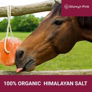 Himalayan Pink Salt Lick Pack of 3 (6lbs Each Block)- Mineral Salt Block on Rope 100% Organic Pink Salt Block for Horses Deer and Live Stock. Deer Attractant for Deer Hunting
