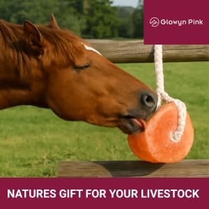 Himalayan Pink Salt Lick Pack of 3 (6lbs Each Block)- Mineral Salt Block on Rope 100% Organic Pink Salt Block for Horses Deer and Live Stock. Deer Attractant for Deer Hunting