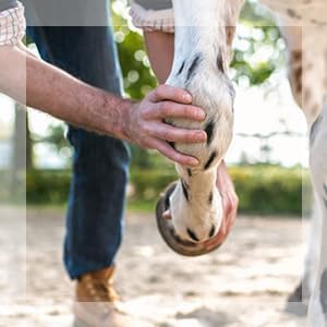 Absorbine Veterinary Liniment Gel