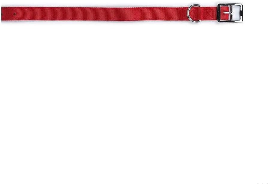 Bright Red Dog Collars Double Thick Nylon Strong Metal Buckle Heavy Duty (13 to 16 Inch)