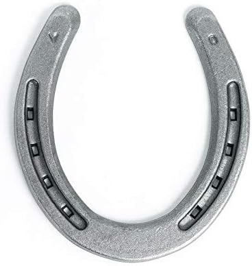 Steel Horseshoes Set for Horses, Crafts, Decorations and Backyard Games - Plain Shoe Size 0 - Sand Blasted 10 Shoes