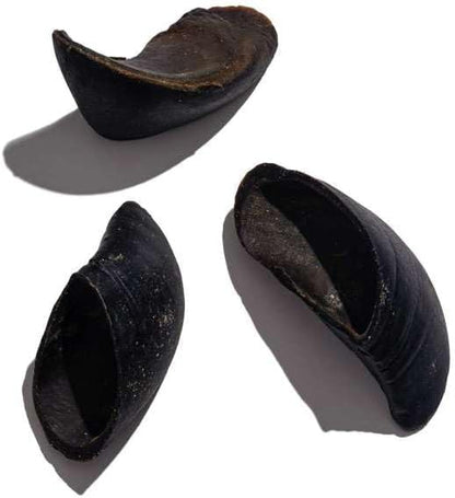 Jack & Pup Cow Hooves for Dogs, Natural Long Lasting Dog Hooves for Large and Small Breeds, Single Ingredient Cow Hoof, Dog Treats Alternative for Rawhide and Bully Sticks - 12 Pack