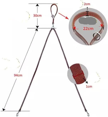 Dog Leash Double Two Pet Leather Leads NoTangle Coupler with Handle ，Compatible for Walking and Training(Black)