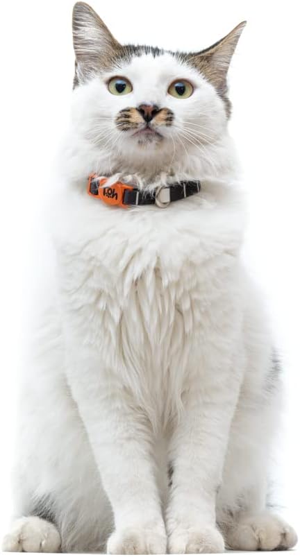 Breakaway Cat Collar – Stylish & Safe Adjustable Kitten Collar Breakaway – Cute Cat Collar for Kittens & Cats – Soft Pet Collar for Girls & Boys – Cat Accessories (Eclipse)