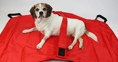 Transport Stretcher for Dogs | Emergency Animal Carrier with Safety Strap | 250 Pound Weight Limit | Pet Stretcher Size: 47 L X 29 W inches Pet Carrier (Blue)