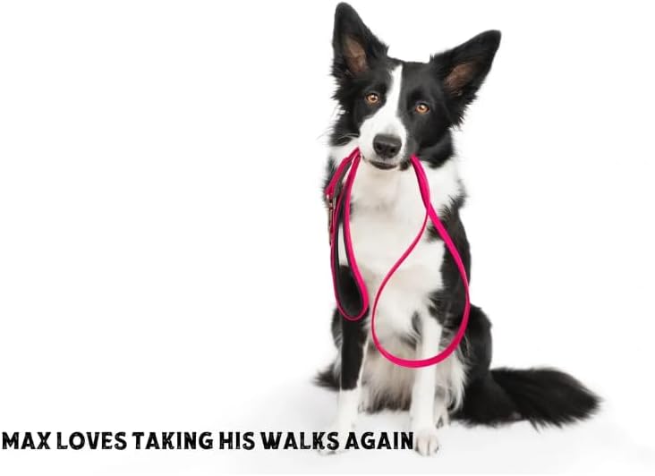 Hip & Joint Care Dog Supplement, Salmon Flavor Soft Chews with Glucosamine, Green Lipped Mussel, Fish Oil, Curcumin, Calcium Fructoborate – 30 Soft Chews3.5oz