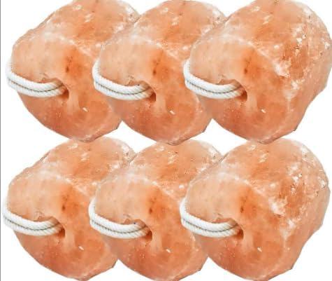 Himalayan Salt Licks for Horses, Natural Rope Hanging Blocks, 6-Pack