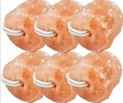 Himalayan Salt Licks for Horses, Natural Rope Hanging Blocks, 6-Pack
