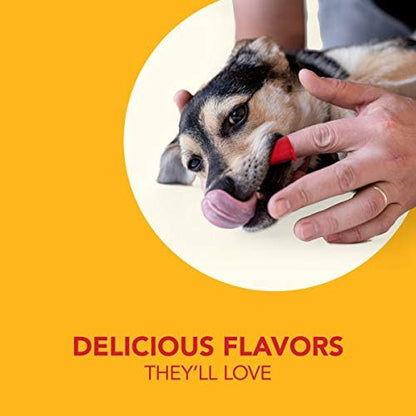 Petrodex Dental Care Kit for Dogs and Puppies, Cleans Teeth and Fights Bad Breath, Reduces Plaque and Tartar Formation, Enzymatic Tooth Brushing Kit, Poultry Flavor, 2.5oz Toothpaste + Toothbrush