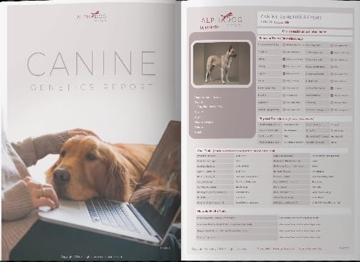 AlphaDog DNA Complete Dog DNA Test Kit – Clinical Grade, Breeder Preferred, and Vet-Approved - Includes Breed Analysis, Health Traits, Behavior Traits, & Coat Traits