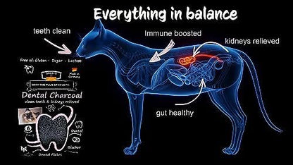 QCHEFS Dental Charcoal for Cats – Two Month Supply* - Food Topper - After Meal Licking Treat, Oral Health Snack with Amino Acids.