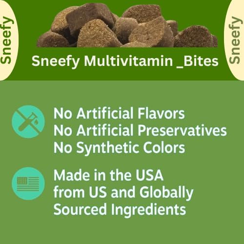 Dog Multivitamin, Chewable Dog Vitamins and Supplements for Hip & Joints, Skin & Coat, Omega 3 Fish Oil for Dogs- Senior & Puppy Multivitamin - Salmon- 120 Soft Chews