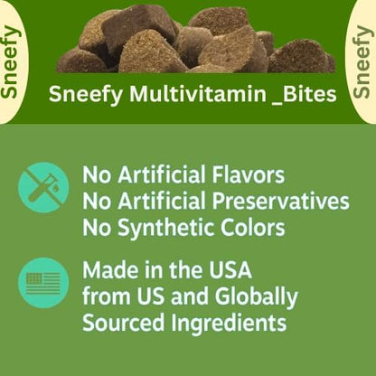 Dog Multivitamin, Chewable Dog Vitamins and Supplements for Hip & Joints, Skin & Coat, Omega 3 Fish Oil for Dogs- Senior & Puppy Multivitamin - Salmon- 120 Soft Chews