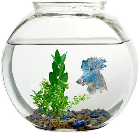 Koller Products 1-Gallon Fish Bowl, Impact-Resistant Plastic